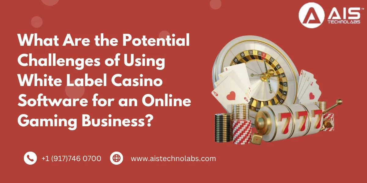 What Are the Potential Challenges of Using White Label Casino Software for an Online Gaming Business Potential Challenges of Using White Label Casino Software