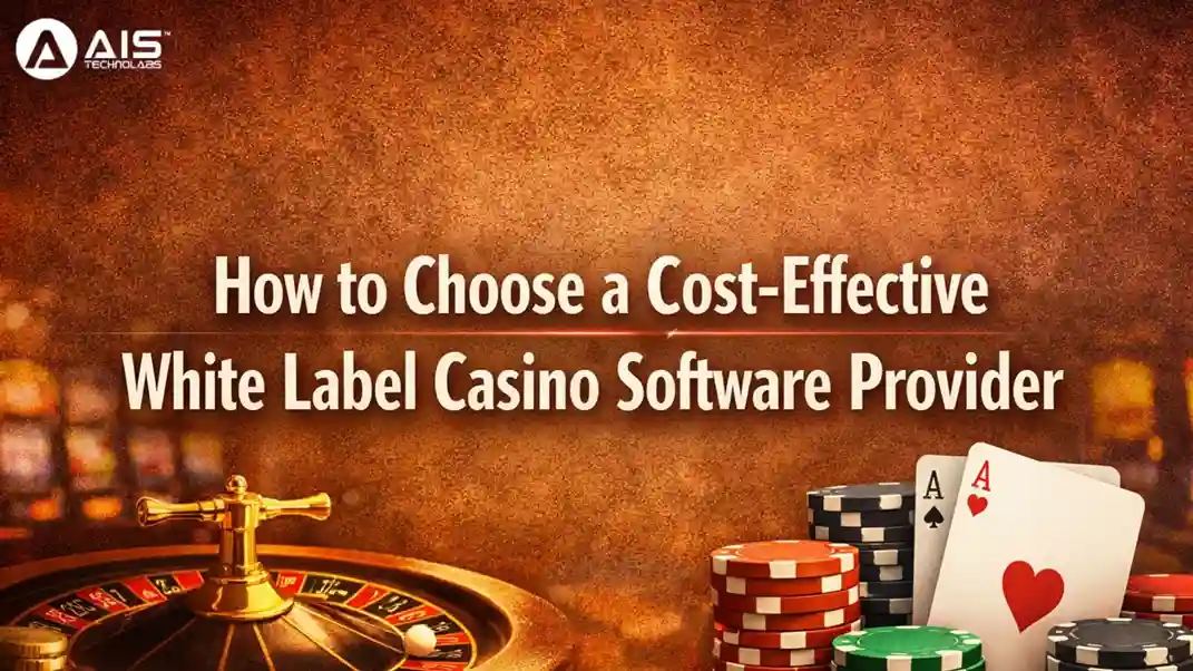How to Choose a Cost-Effective White Label Casino Software Provider how to choose a cost-effective white label casino software provider