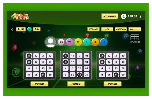bingo game development solutions