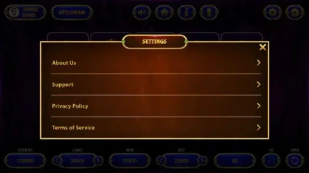 settings screen for slot machine game interface